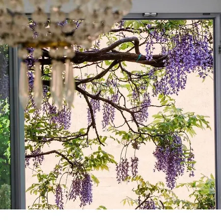 Apartment Wisteria House